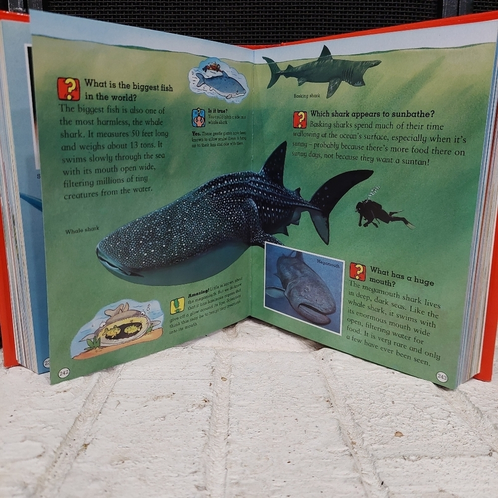 Amazing Questions And Answers Book Of Timeless Knowledge Adventures  And Quizzes - Picture 5 of 9